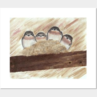 Barn Swallow Chicks Posters and Art